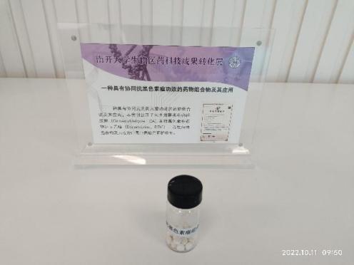 一种具有协同抗黑色素瘤功效的药物组合物及其应用